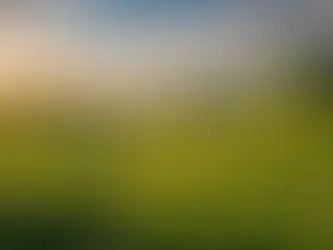 Exploring the Authentic Purpose of Mediumship: Going Beyond the Stereotypes and Embracing Evidential Healing