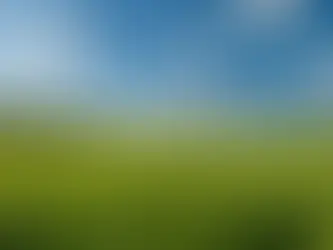 Do Our Furry Friends Live on in the Afterlife? Real-life Stories and the Rainbow Bridge Poem