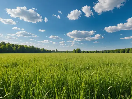 Do Our Furry Friends Live on in the Afterlife? Real-life Stories and the Rainbow Bridge Poem