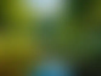 The Profound Healing Potential of Evidential Mediumship: A Therapist's Perspective