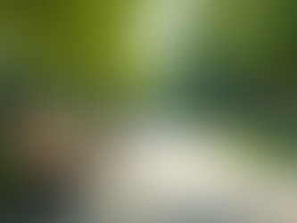 Why Do People Make Themselves Anxious? The Surprising Truth Behind Self-Perpetuated Anxiety