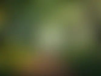 The Unseen Helpers: Gratitude for the Support of Loved Ones and Pets in the Afterlife