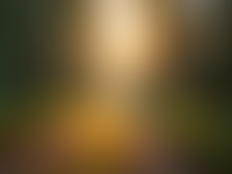 Finding Healing in Spirit: My Journey from Love Readings to Mediumship