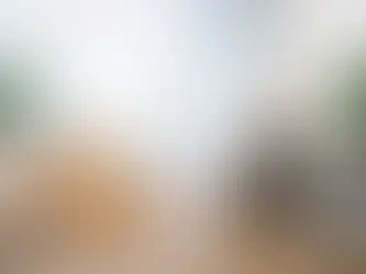 CBT vs REBT Therapy: Key Differences