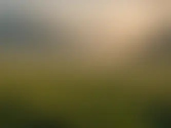 How Embracing Mediumship Changed My Perspective on the Spirit World: A Journey from Skepticism to Spiritual Connection