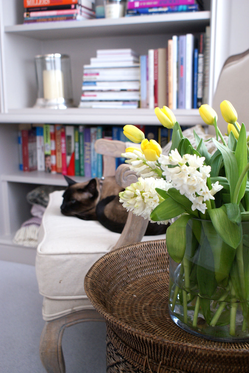 Interior design details library flowers chair with cat