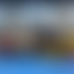 Boravak prof. dr Jolante Gražine Zuzde na Fakultetu u okviru istraživačke prakse