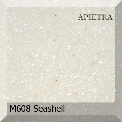 m608_seashell.jpg