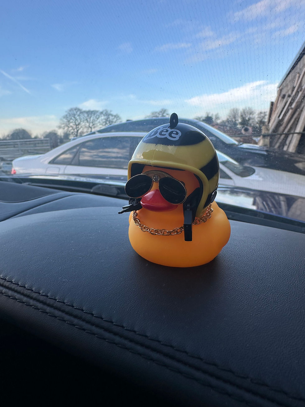 Thumbnail: Dashboard Ducks