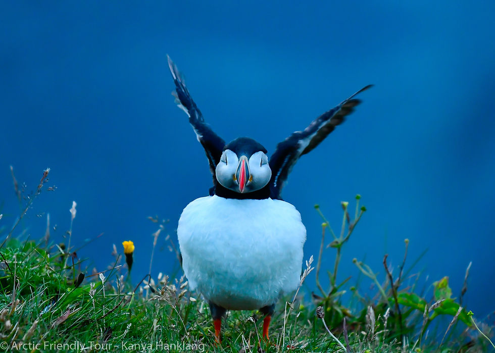 ree