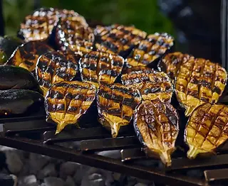 קייטרינג לחתונה בטבע