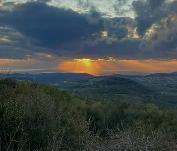 off-site מנהלים קולינרי