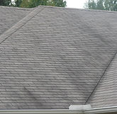 Roof stained by algae (Gloeocapsa magma), which can damage shingles.