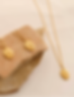 Thumbnail: Belle Rose Coin Necklace