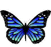 mariposa-imagen-animada-0018.gif