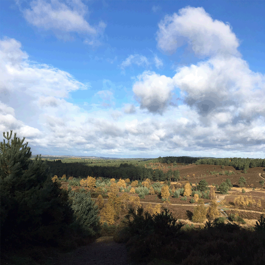 Thursley.gif