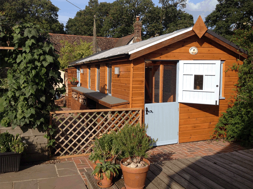 Cattery Close Up.gif