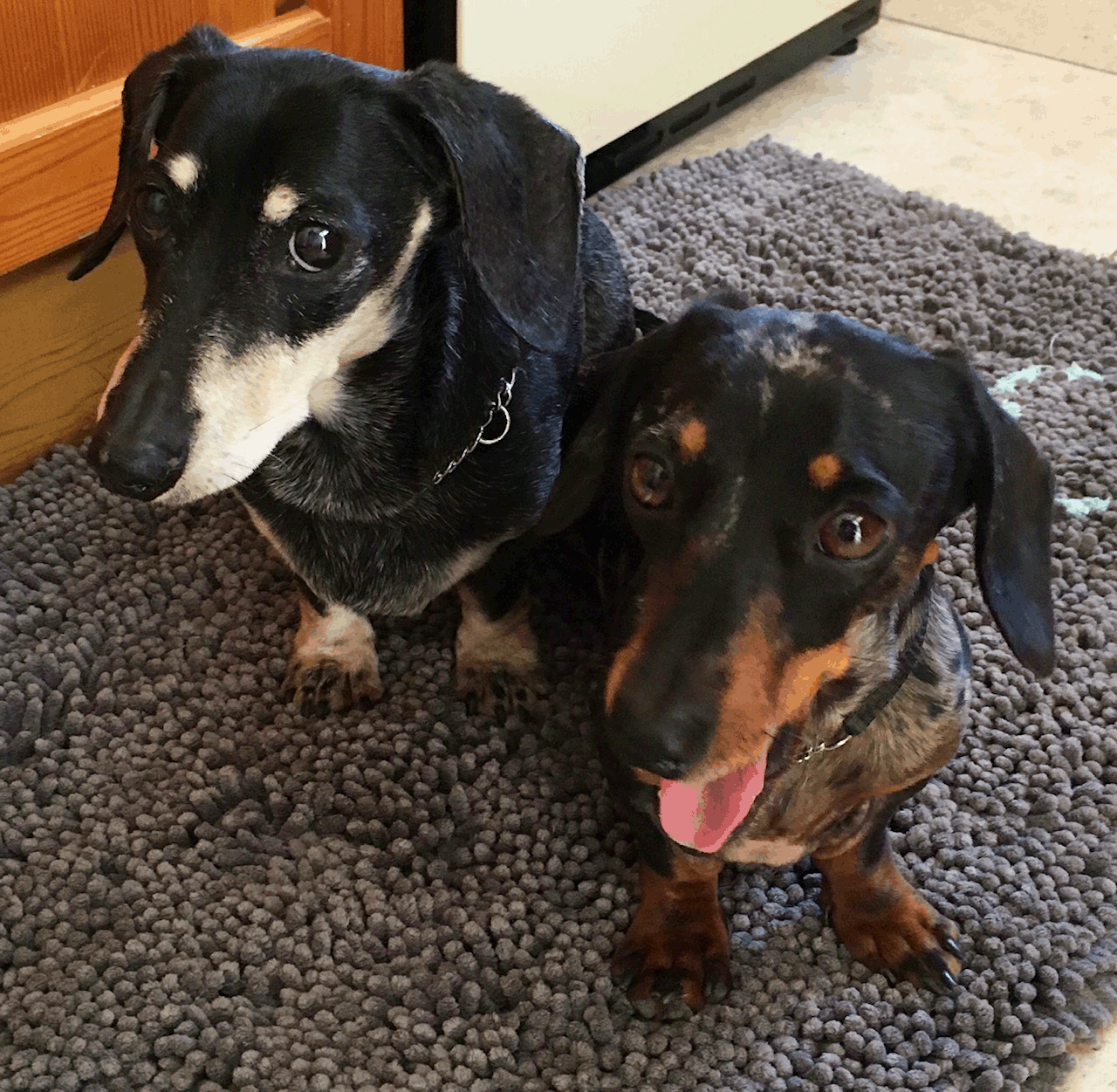 Pip & Heabie.gif