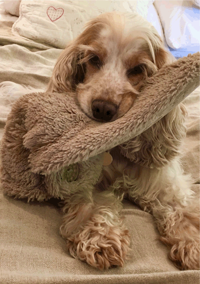 Cleo Testomonial.gif