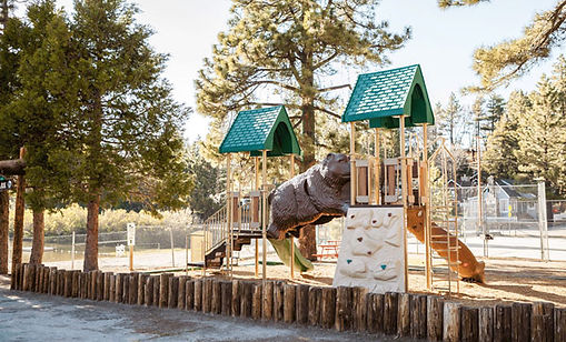 Green Valley Lake's Bear Themed Playground