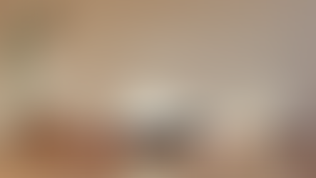 Reflect and Reset: A Long Overdue Update on Our Journey Forward