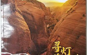 Travellution Article