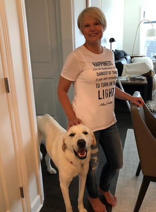 Finding the Best Pet Sitter in Bel Air