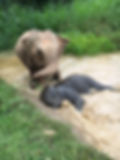 Unknown-4