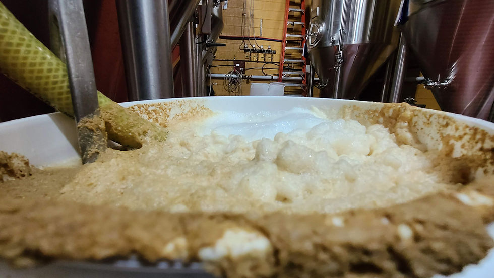 🍺 Aprender a hacer cerveza artesanal desde cero: el método Abr3Z4 C3rv3z4 para dominar el proceso