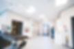 Ferguson Vet Clinic - Internal cages.jpg