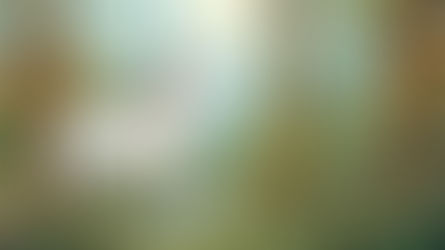 Rebirth of the UX Unicorn?