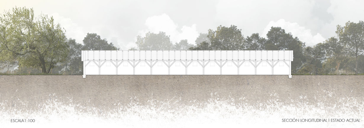 SEZIONE LONGITUDINALE SDF 19.06.2020.jpg