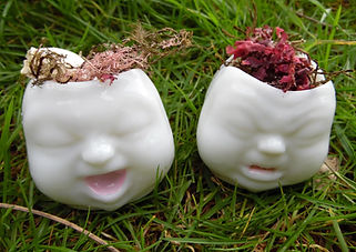 cabeza ninos japoneses.JPG