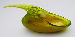 futu1.JPG