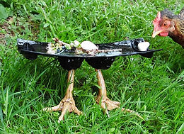patas gallina.JPG