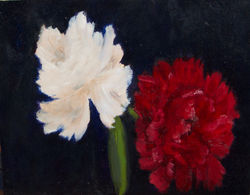 Red and White Peony