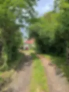image-2-1024x1024.webp