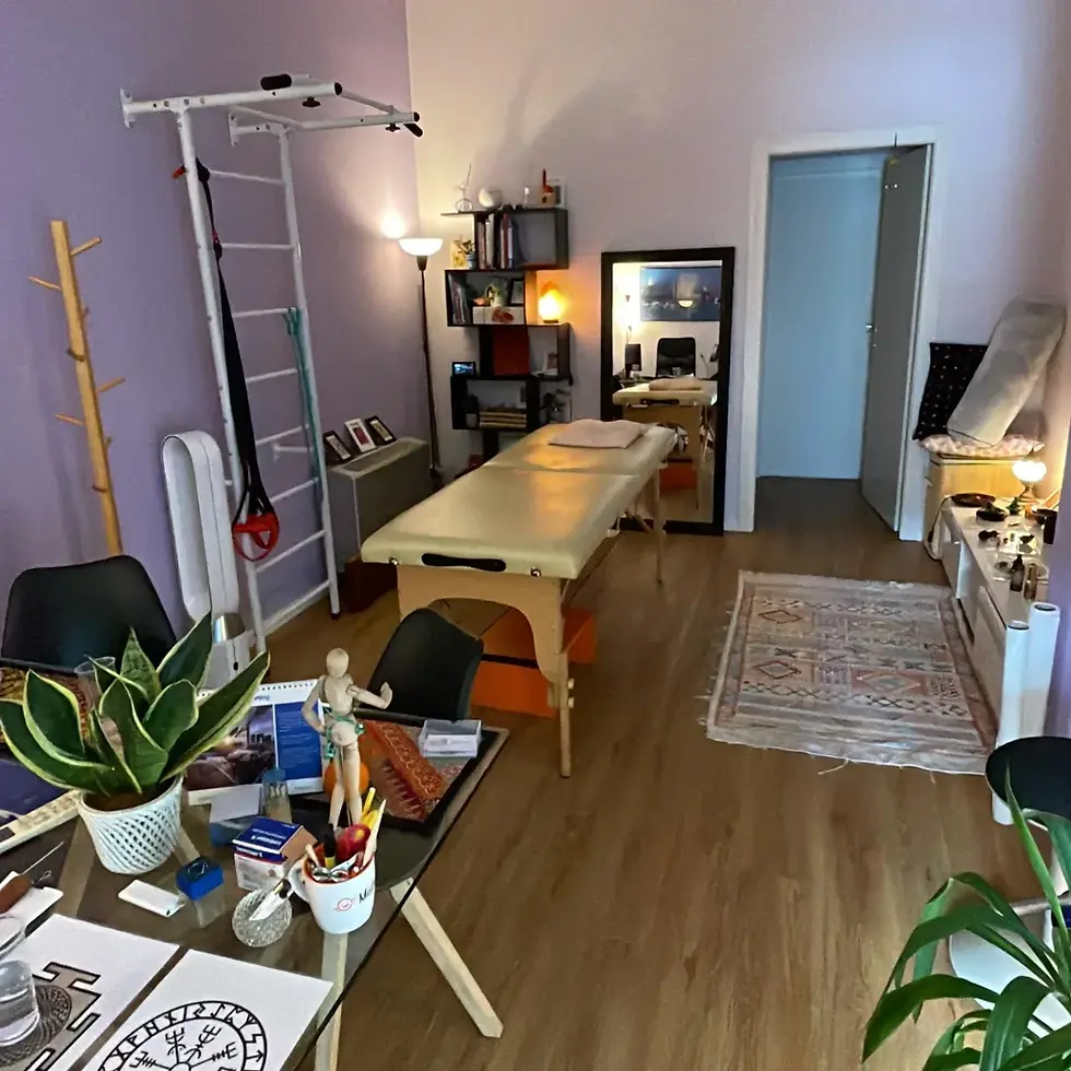 Studio osteopatico Andrea Ferraris con sede a Peschiera Borromeo
