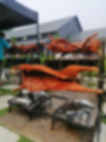 IMG_20190921_163632.jpeg
