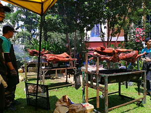 IMG_20190617_133108.jpeg