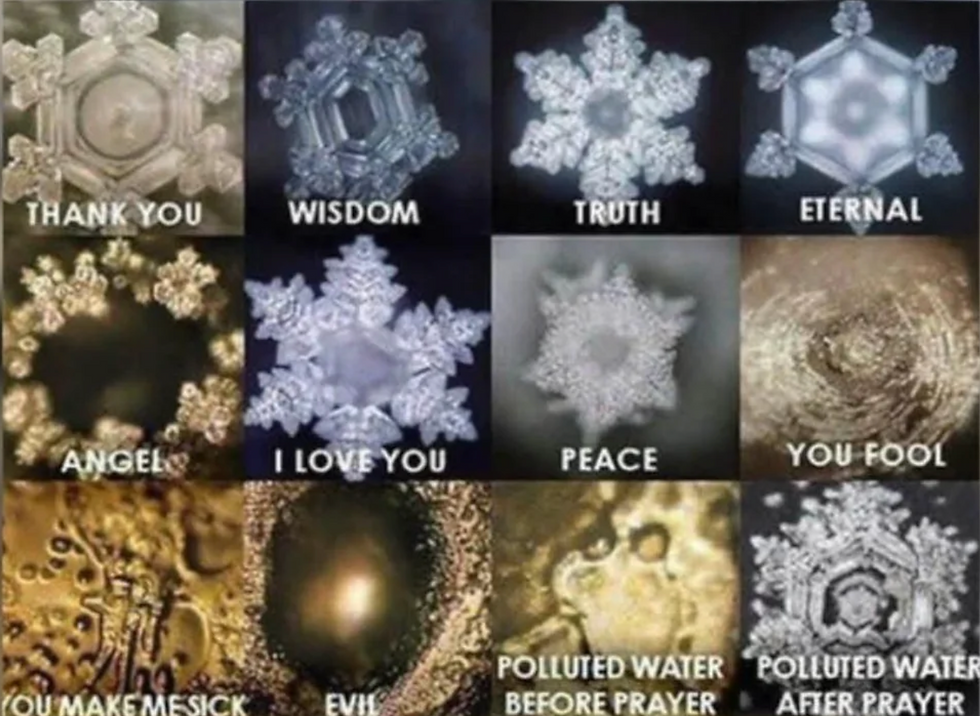 Examples of different patterns in frozen water photographed under microscope
