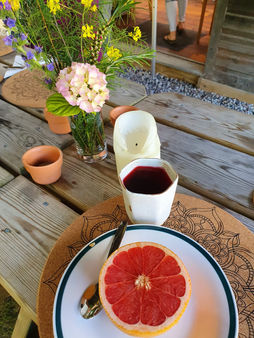 Fresh fruit and coffee break on the summer yoga surf getaway