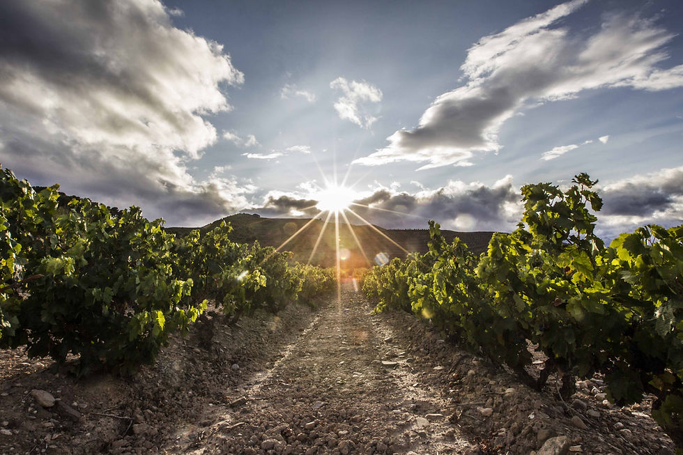 Rioja-Oriental-from Rioja website.jpg