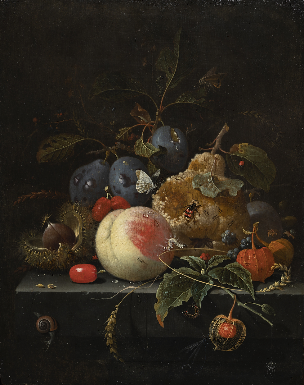 Dark still life of plums, peaches, chestnuts and leaves on a shelf, with butterflies and beetles in a moody black background