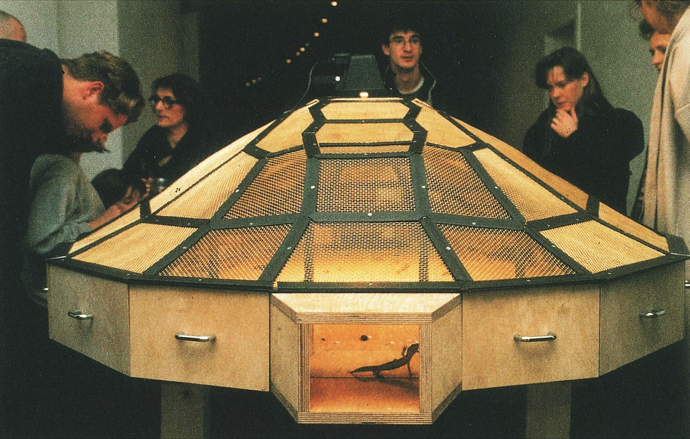 People observe a dome-shaped structure with mesh panels and wood in a dimly lit room. Curious expressions. The structure is lit from within.