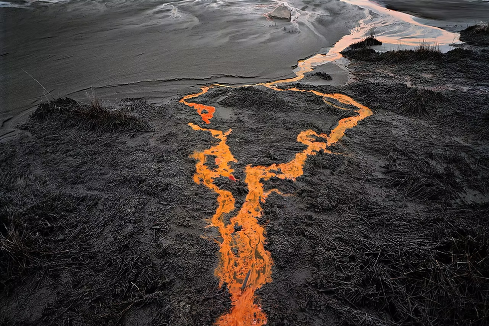 Glowing orange runoff snakes through dark mud and grass on a bleak shoreline, creating a stark, eerie scene