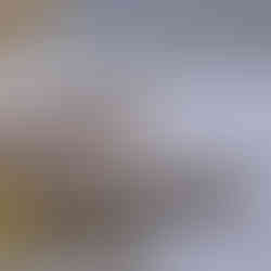 黃刀鎮Yellowknifer