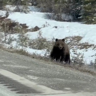 93號公路Highway 93