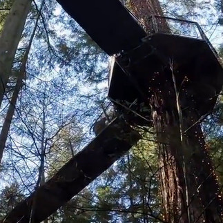 卡皮拉諾吊橋Capilano Suspension Bridge
