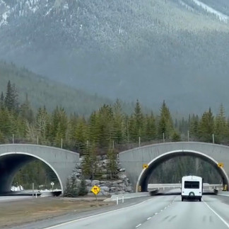 93號公路Highway 93